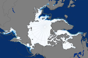 Leisurely January Growth for Arctic Sea Ice 