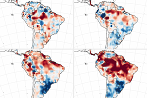 Conditions Are Ripe for an Intense Fire Season in Amazonia