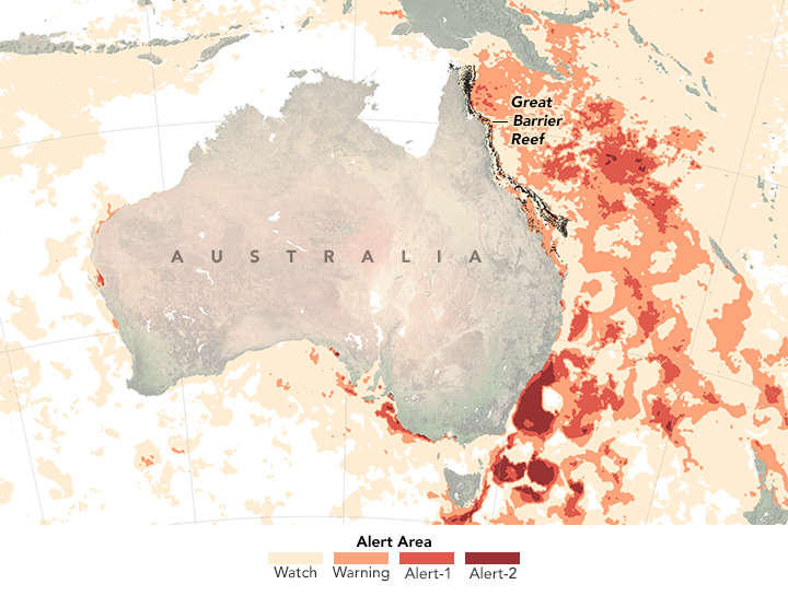 Stress on the Great Barrier Reef  - related image preview