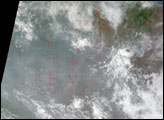 Fires and Deforestation in Brazil