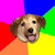 Advice Doge thumbnail