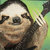 666Sloth thumbnail