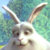 bigbuckbunny thumbnail