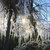 ICICLES thumbnail