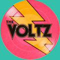 The Voltz image