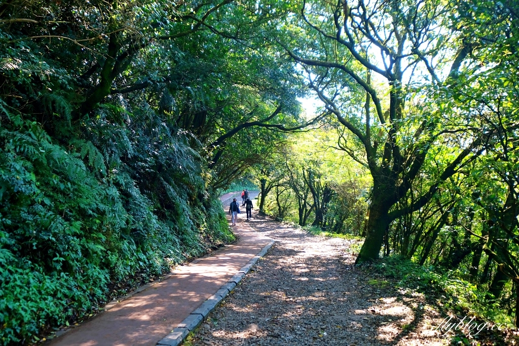 台北北投｜陽明山二子坪，陽明山最輕鬆平緩，全台首創的野外無障礙步道 @飛天璇的口袋