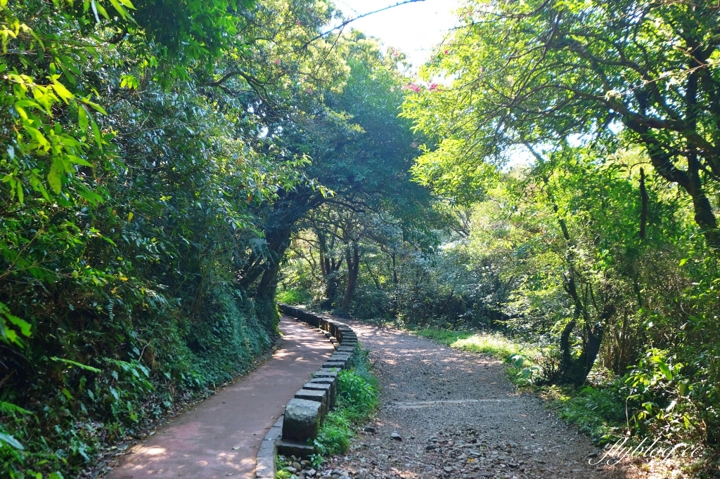 台北北投｜陽明山二子坪，陽明山最輕鬆平緩，全台首創的野外無障礙步道 @飛天璇的口袋