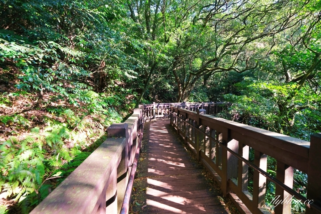 台北北投｜陽明山二子坪，陽明山最輕鬆平緩，全台首創的野外無障礙步道 @飛天璇的口袋