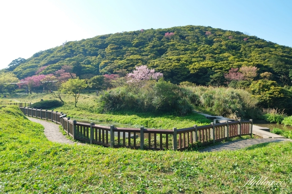 台北北投｜陽明山二子坪，陽明山最輕鬆平緩，全台首創的野外無障礙步道 @飛天璇的口袋