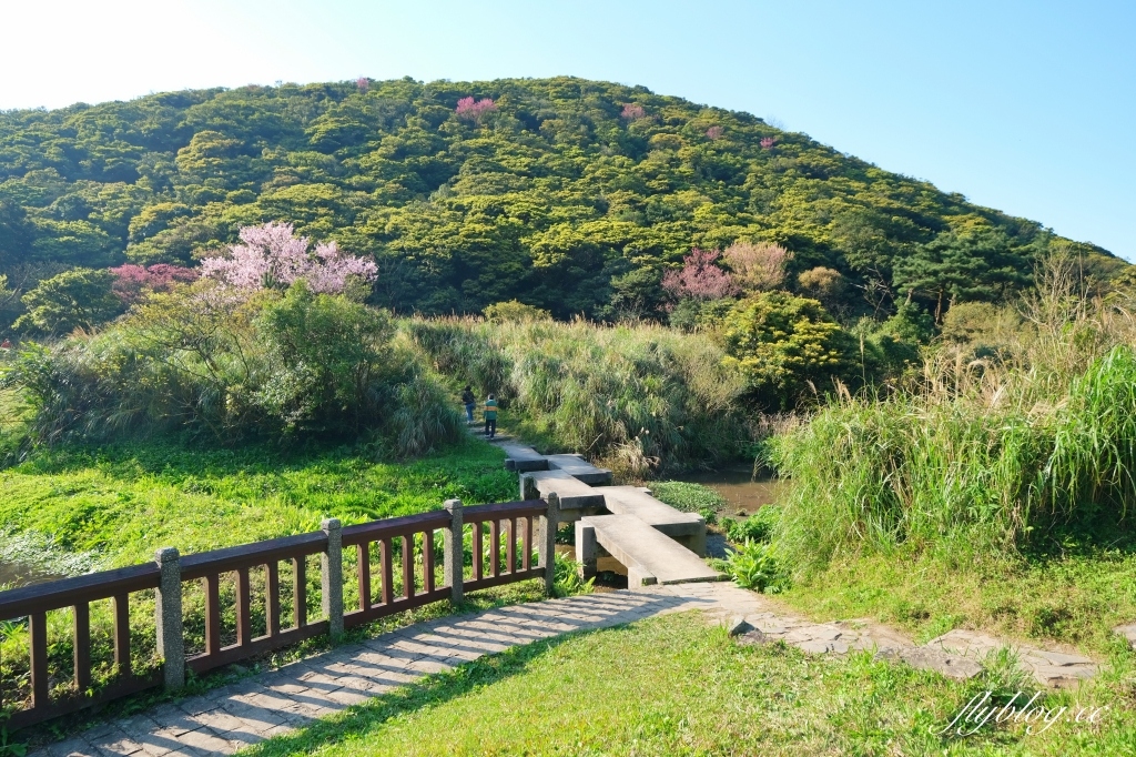 台北北投｜陽明山二子坪，陽明山最輕鬆平緩，全台首創的野外無障礙步道 @飛天璇的口袋