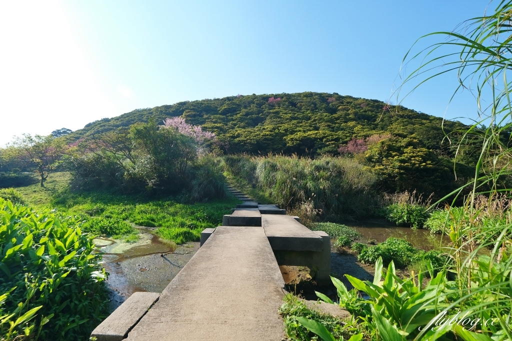 台北北投｜陽明山二子坪，陽明山最輕鬆平緩，全台首創的野外無障礙步道 @飛天璇的口袋