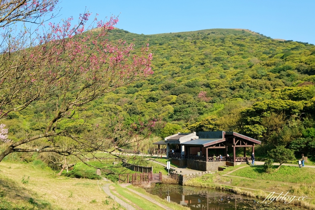 台北北投｜陽明山二子坪，陽明山最輕鬆平緩，全台首創的野外無障礙步道 @飛天璇的口袋