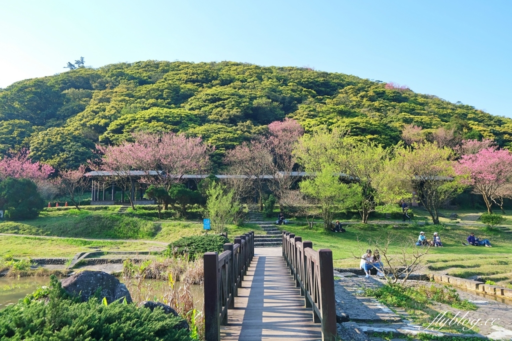 台北北投｜陽明山二子坪，陽明山最輕鬆平緩，全台首創的野外無障礙步道 @飛天璇的口袋