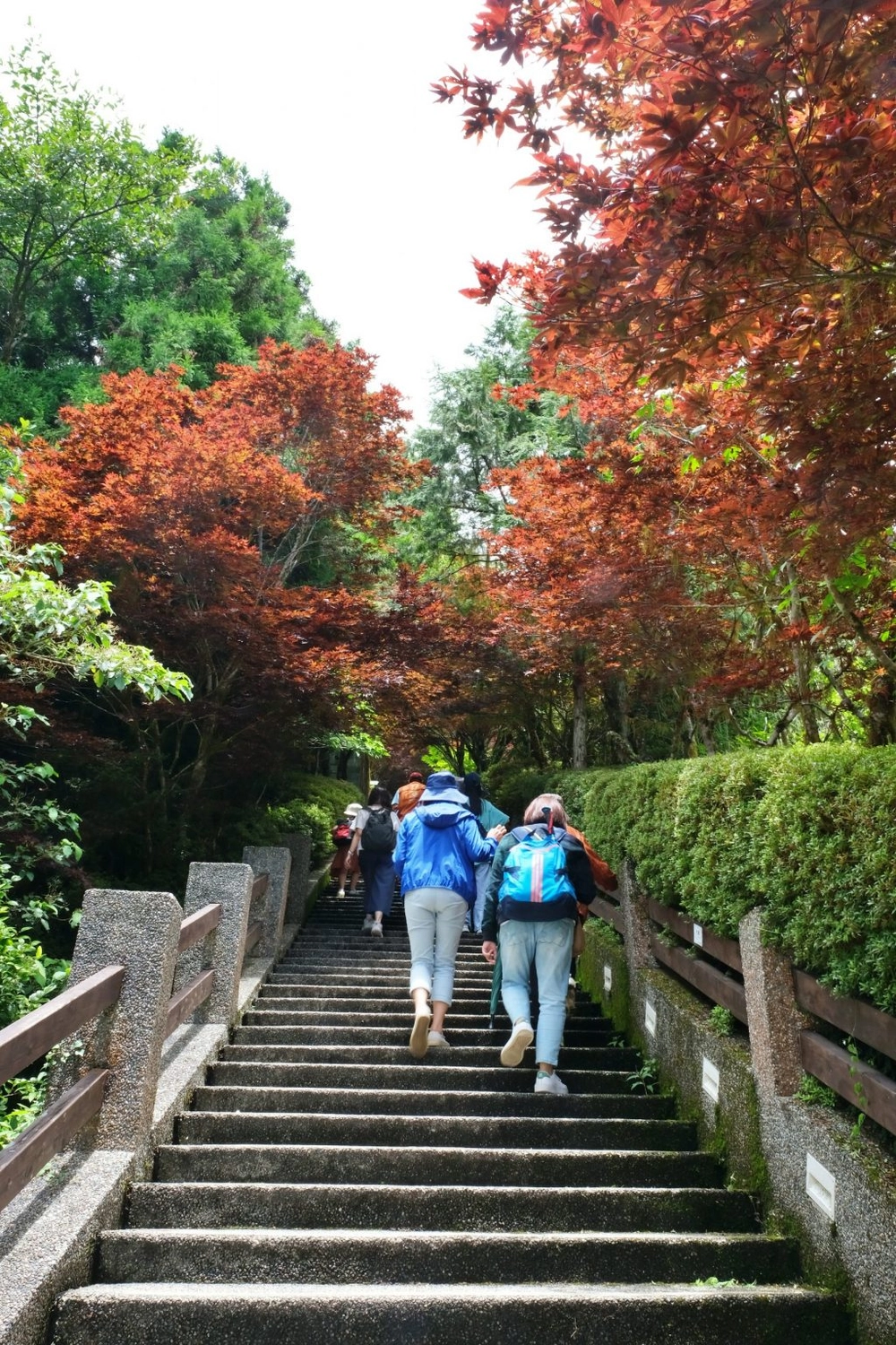 宜蘭太同｜太平山2天1夜行程，太平山莊住宿一晚，翠峰湖、見晴步道深呼吸，鳩之澤泡湯煮溫泉蛋 @飛天璇的口袋