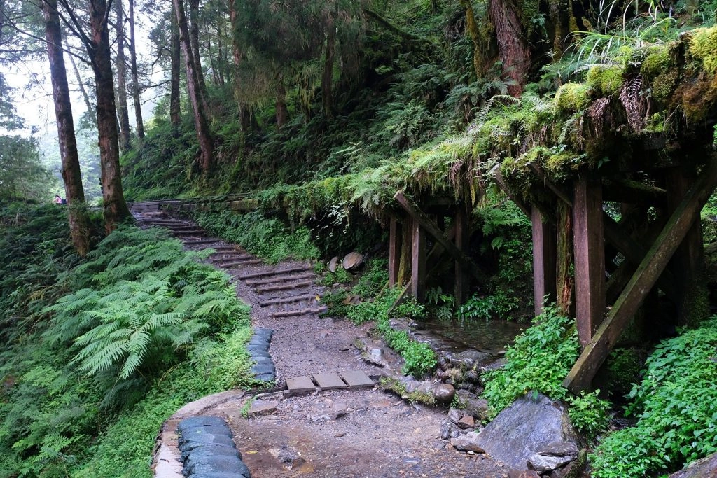 宜蘭太同｜太平山2天1夜行程，太平山莊住宿一晚，翠峰湖、見晴步道深呼吸，鳩之澤泡湯煮溫泉蛋 @飛天璇的口袋