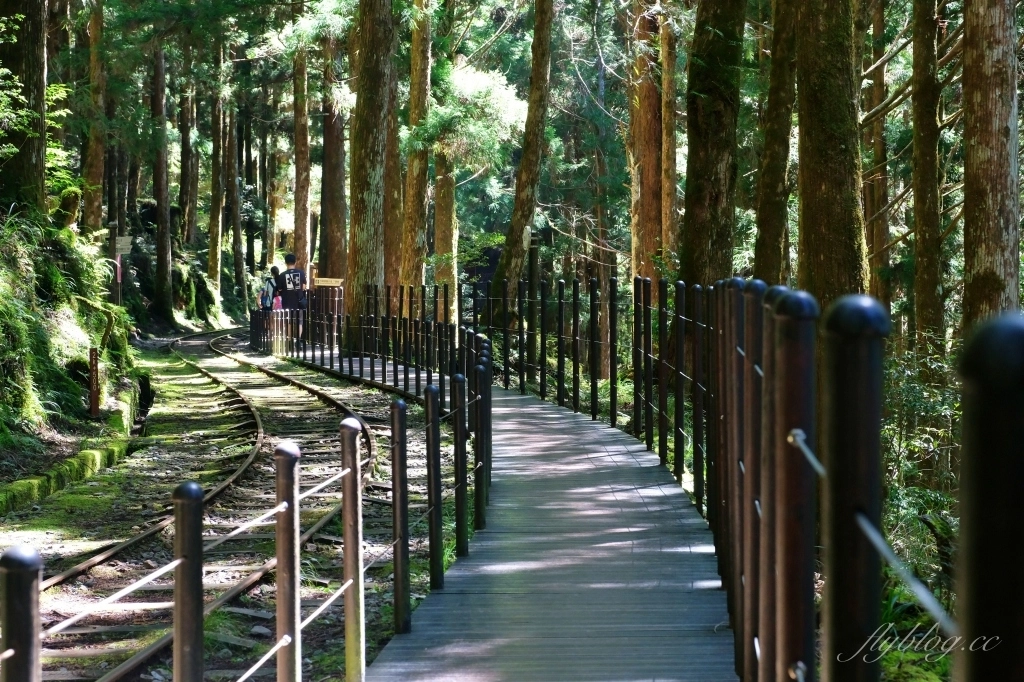 宜蘭太同｜太平山2天1夜行程，太平山莊住宿一晚，翠峰湖、見晴步道深呼吸，鳩之澤泡湯煮溫泉蛋 @飛天璇的口袋