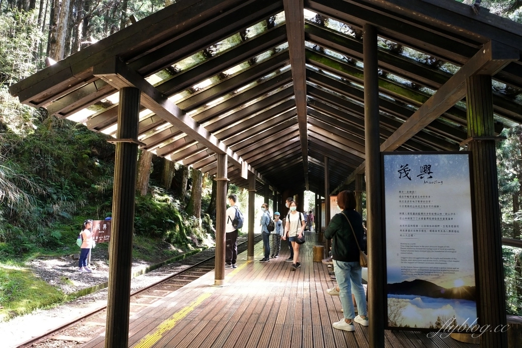 宜蘭太同｜太平山2天1夜行程，太平山莊住宿一晚，翠峰湖、見晴步道深呼吸，鳩之澤泡湯煮溫泉蛋 @飛天璇的口袋