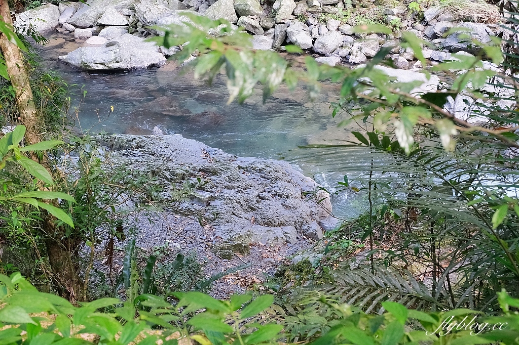 新北三峽｜滿月圓森林遊樂區，適合全家出遊的親子步道，享受芬多精的最佳森林浴場所 @飛天璇的口袋