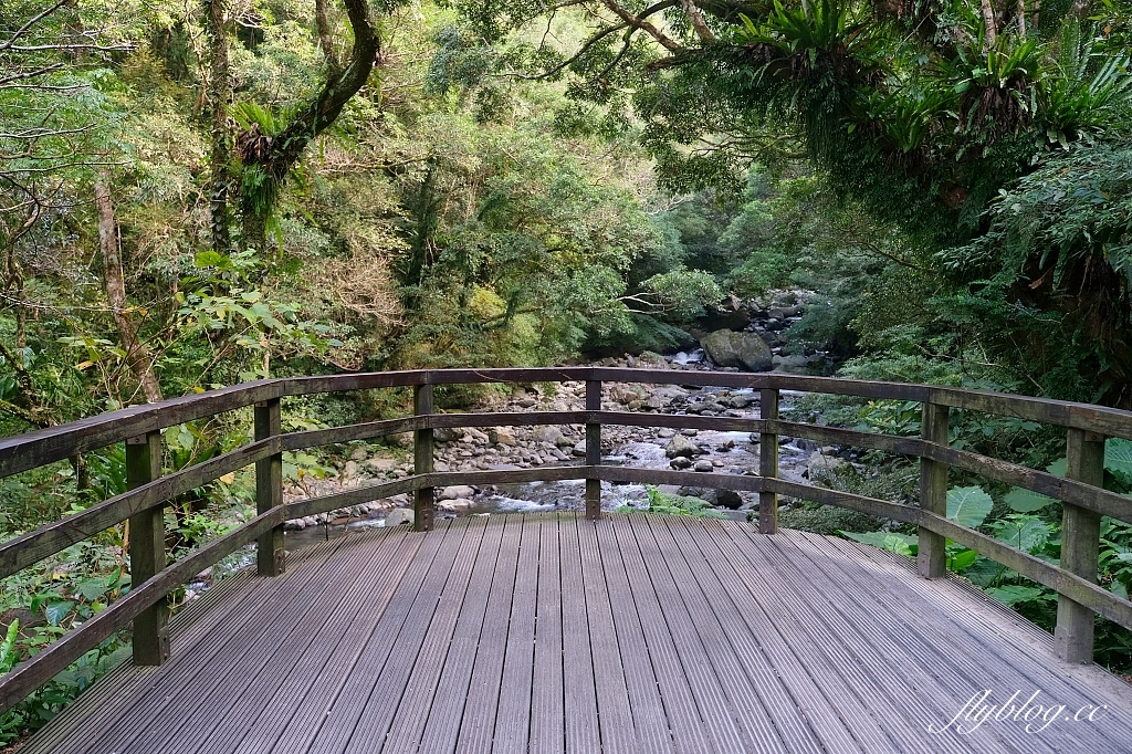 新北三峽｜滿月圓森林遊樂區，適合全家出遊的親子步道，享受芬多精的最佳森林浴場所 @飛天璇的口袋