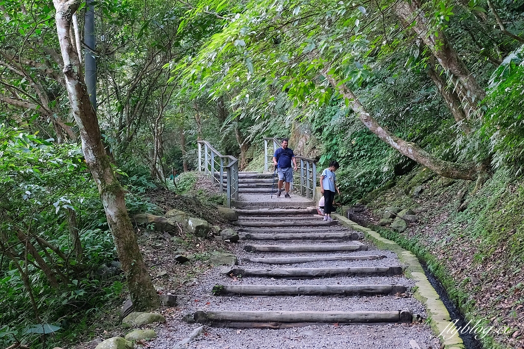 新北三峽｜滿月圓森林遊樂區，適合全家出遊的親子步道，享受芬多精的最佳森林浴場所 @飛天璇的口袋