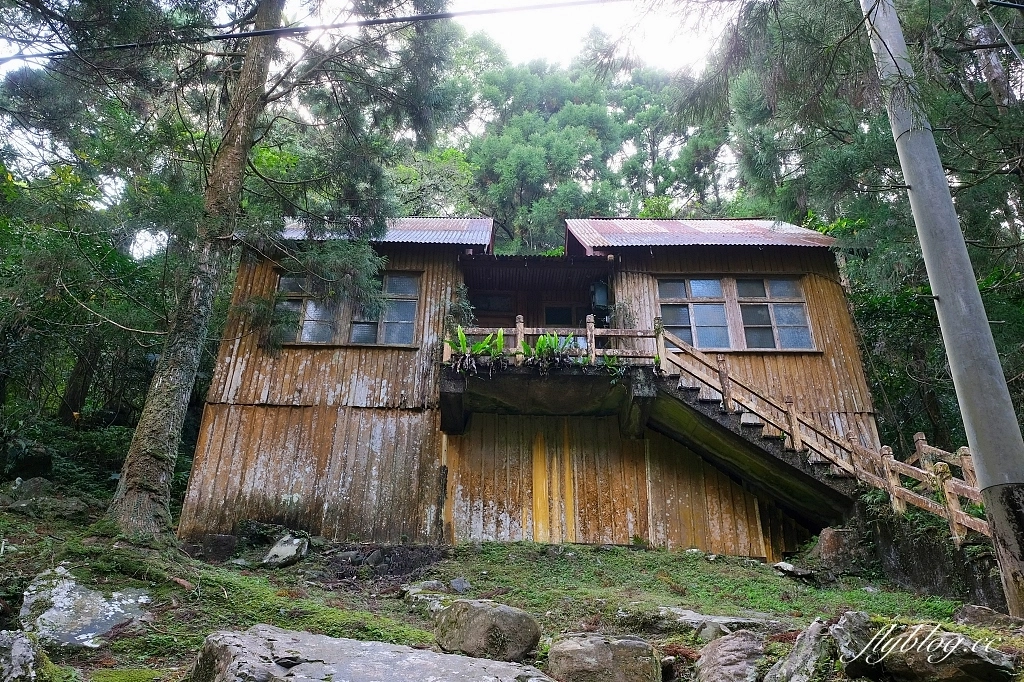 新北三峽｜滿月圓森林遊樂區，適合全家出遊的親子步道，享受芬多精的最佳森林浴場所 @飛天璇的口袋