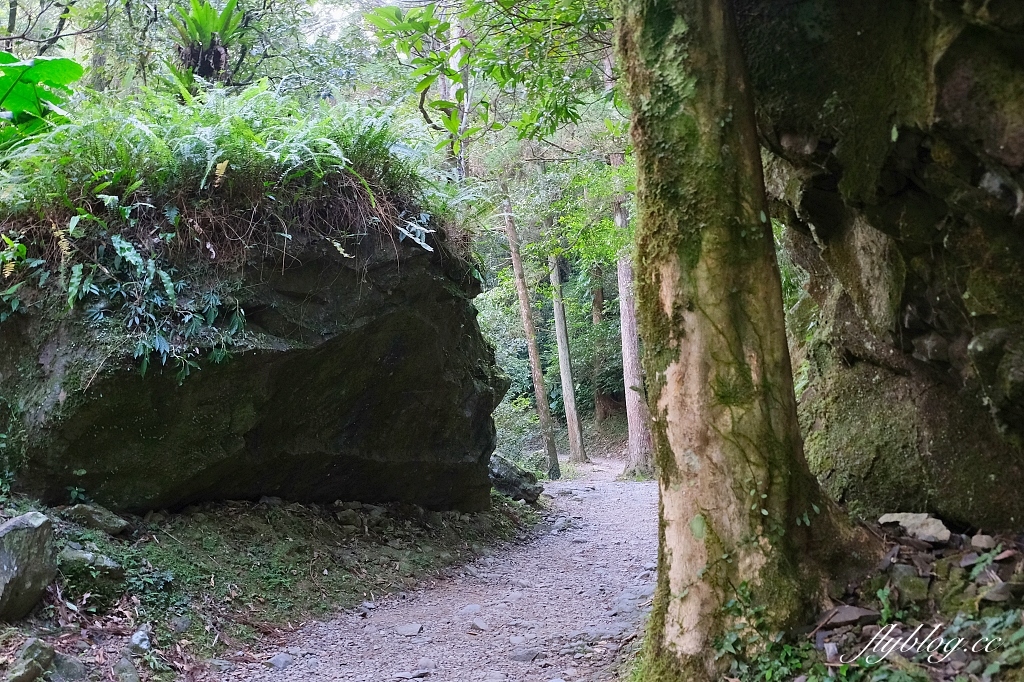 新北三峽｜滿月圓森林遊樂區，適合全家出遊的親子步道，享受芬多精的最佳森林浴場所 @飛天璇的口袋