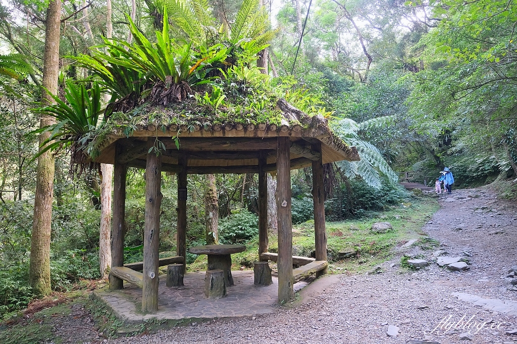 新北三峽｜滿月圓森林遊樂區，適合全家出遊的親子步道，享受芬多精的最佳森林浴場所 @飛天璇的口袋