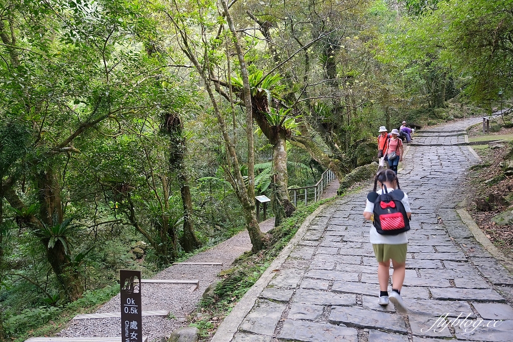 新北三峽｜滿月圓森林遊樂區，適合全家出遊的親子步道，享受芬多精的最佳森林浴場所 @飛天璇的口袋