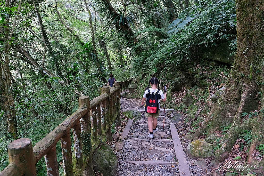 新北三峽｜滿月圓森林遊樂區，適合全家出遊的親子步道，享受芬多精的最佳森林浴場所 @飛天璇的口袋