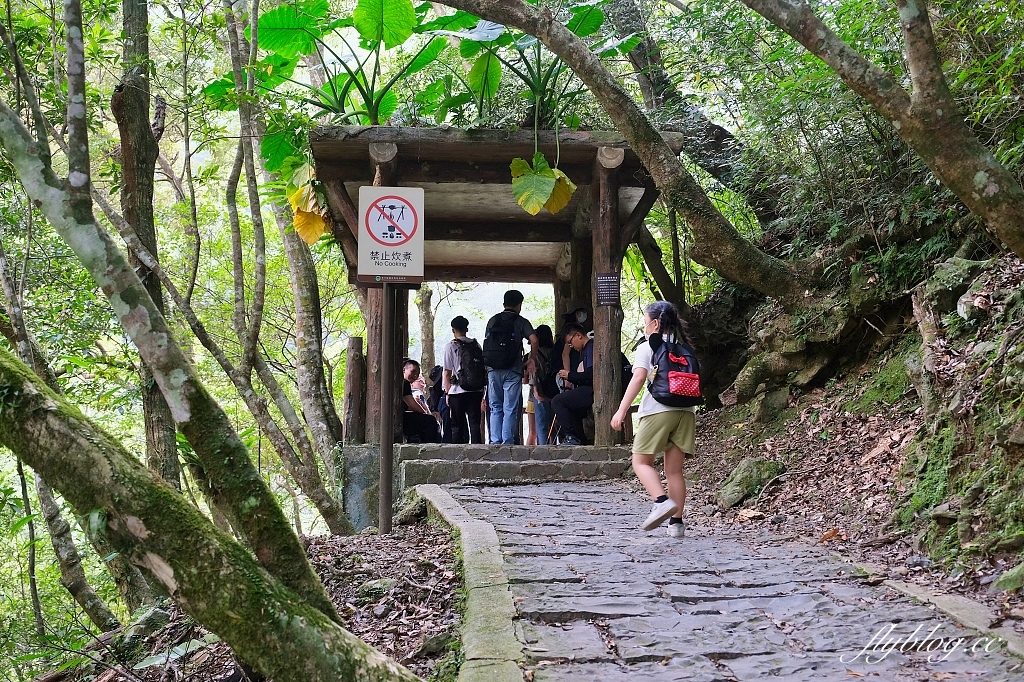 新北三峽｜滿月圓森林遊樂區，適合全家出遊的親子步道，享受芬多精的最佳森林浴場所 @飛天璇的口袋