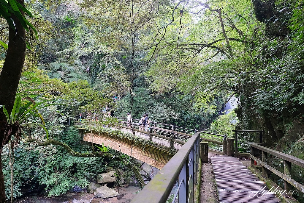 新北三峽｜滿月圓森林遊樂區，適合全家出遊的親子步道，享受芬多精的最佳森林浴場所 @飛天璇的口袋