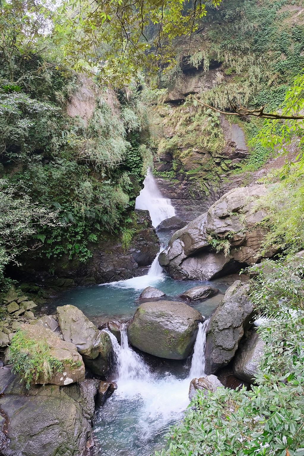 新北三峽｜滿月圓森林遊樂區，適合全家出遊的親子步道，享受芬多精的最佳森林浴場所 @飛天璇的口袋