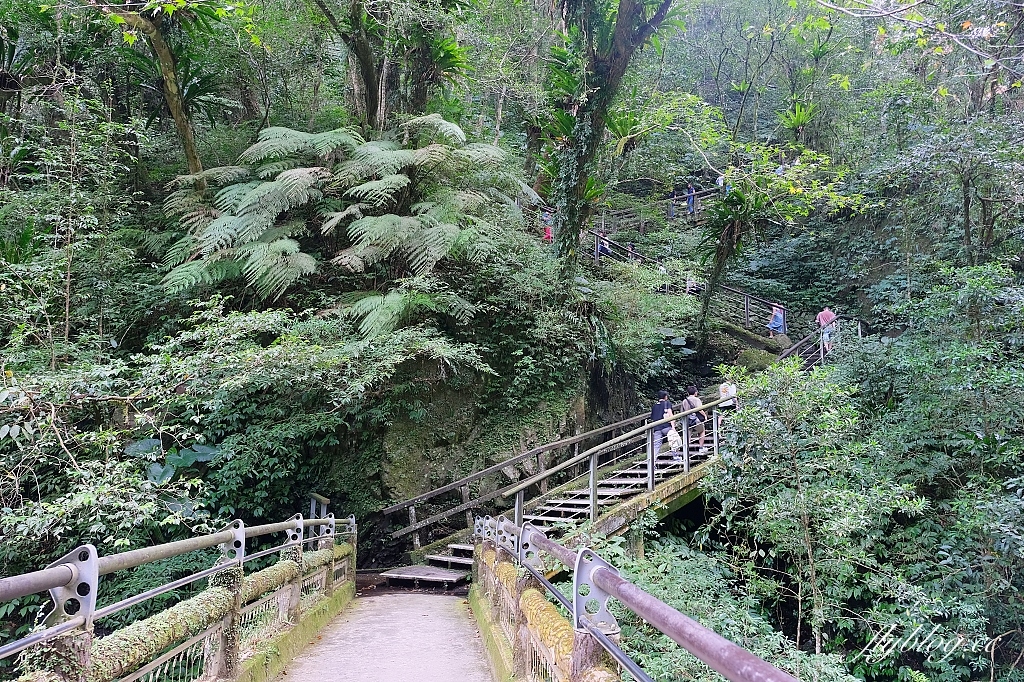 新北三峽｜滿月圓森林遊樂區，適合全家出遊的親子步道，享受芬多精的最佳森林浴場所 @飛天璇的口袋