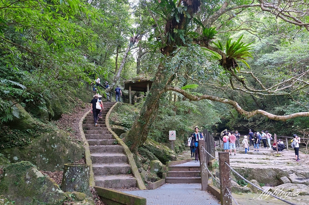 新北三峽｜滿月圓森林遊樂區，適合全家出遊的親子步道，享受芬多精的最佳森林浴場所 @飛天璇的口袋