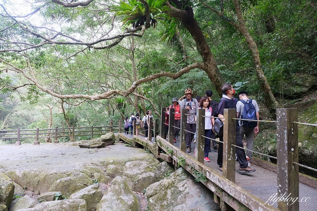 新北三峽｜滿月圓森林遊樂區，適合全家出遊的親子步道，享受芬多精的最佳森林浴場所 @飛天璇的口袋