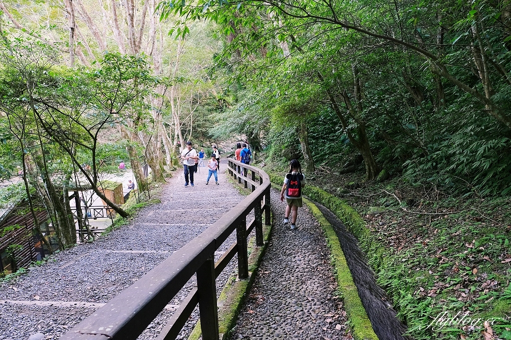 新北三峽｜滿月圓森林遊樂區，適合全家出遊的親子步道，享受芬多精的最佳森林浴場所 @飛天璇的口袋