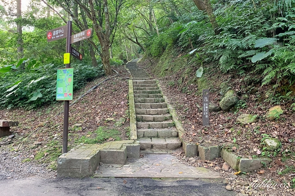 新北三峽｜滿月圓森林遊樂區，適合全家出遊的親子步道，享受芬多精的最佳森林浴場所 @飛天璇的口袋