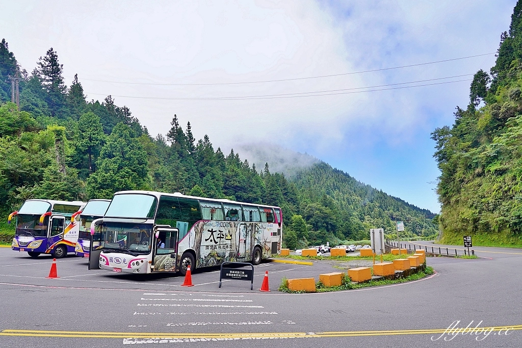 宜蘭太同｜太平山2天1夜行程，太平山莊住宿一晚，翠峰湖、見晴步道深呼吸，鳩之澤泡湯煮溫泉蛋 @飛天璇的口袋