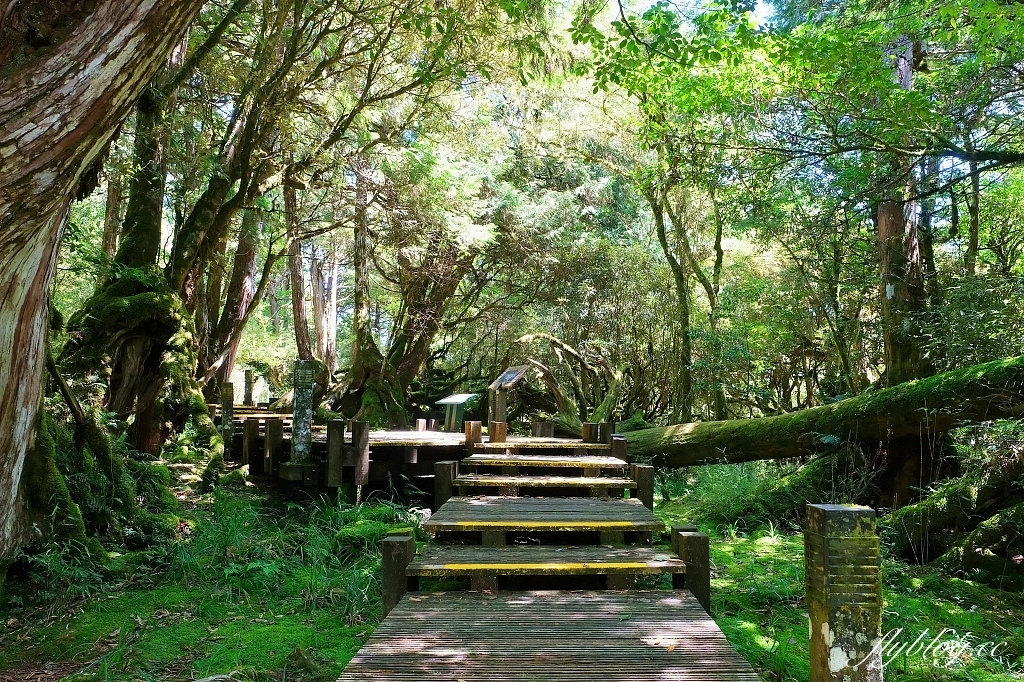 宜蘭太同｜太平山2天1夜行程，太平山莊住宿一晚，翠峰湖、見晴步道深呼吸，鳩之澤泡湯煮溫泉蛋 @飛天璇的口袋