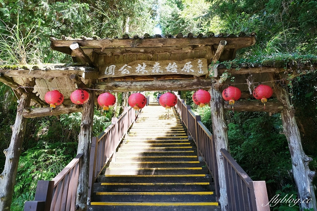 宜蘭太同｜太平山2天1夜行程，太平山莊住宿一晚，翠峰湖、見晴步道深呼吸，鳩之澤泡湯煮溫泉蛋 @飛天璇的口袋