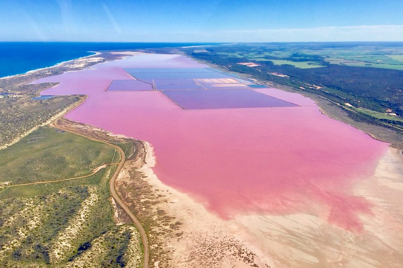 澳洲珀斯｜Hutt Lagoon 粉紅湖，西澳特別的自然景觀，上帝遺落小玫瑰，IG打卡熱門景點 @飛天璇的口袋