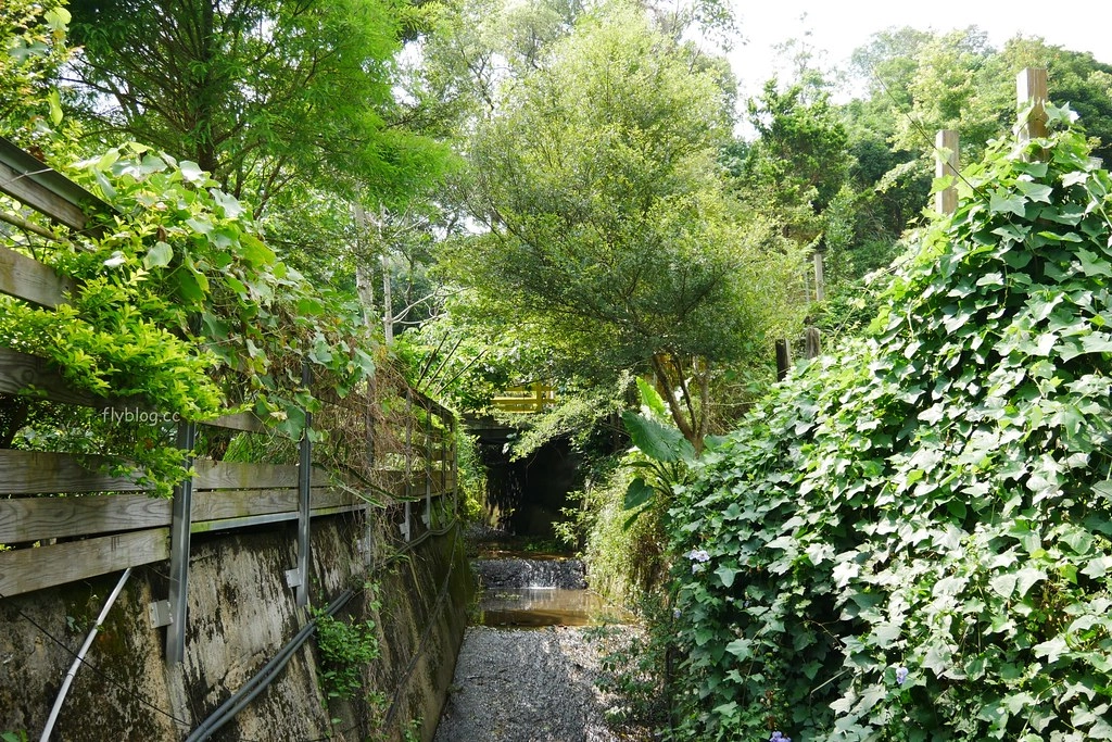 三義漫時光咖啡｜位於山城的浪漫景點餐廳，享受平日靜謐的下午茶時光 @飛天璇的口袋