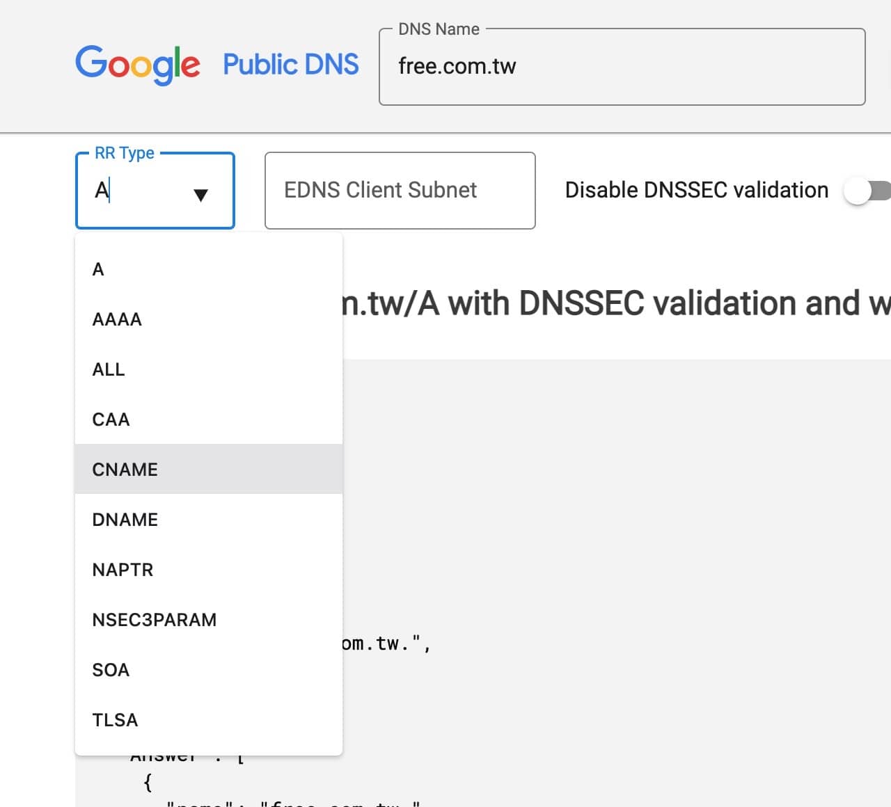 DNS Google