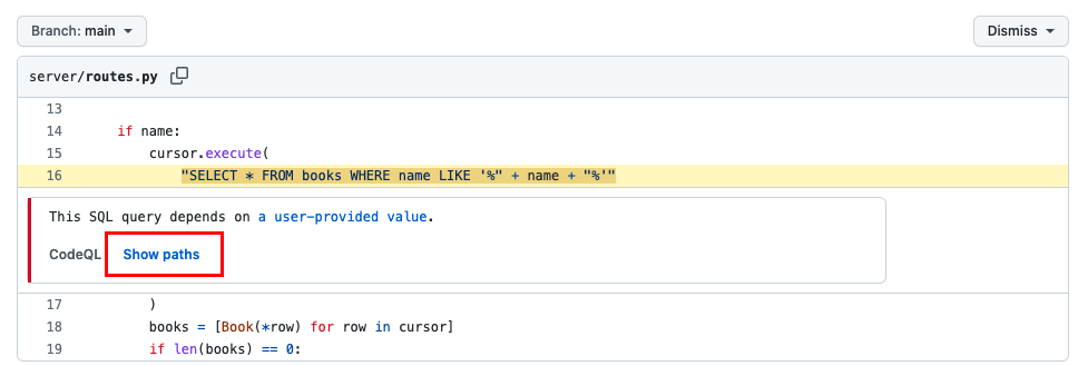 09-security-codeql-show-paths.png