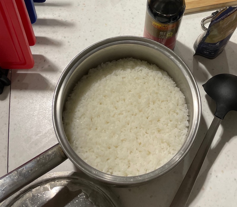 rice_regularPot.jpeg