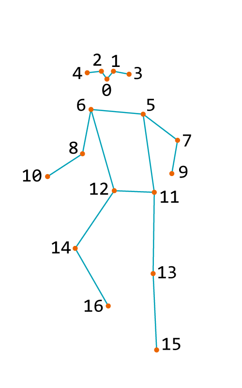 Keypoints of body in YOLO