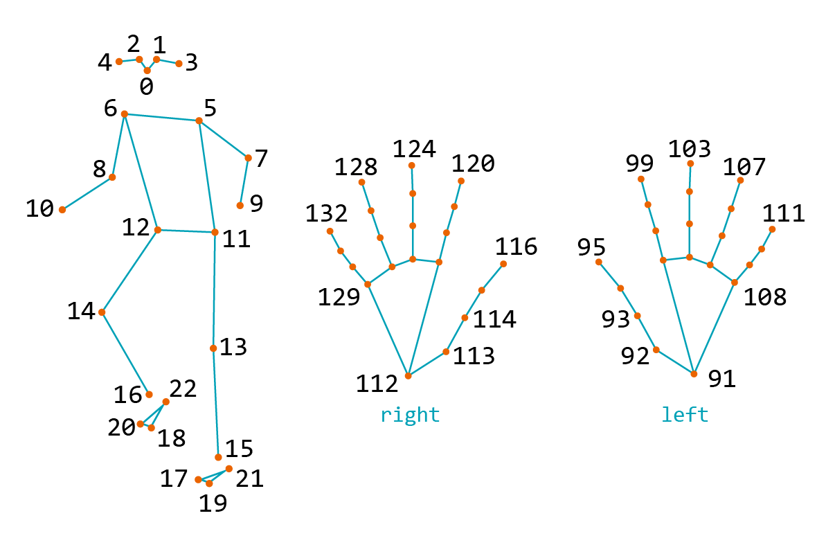 Keypoints of body and hands in RTMPose WholeBody133