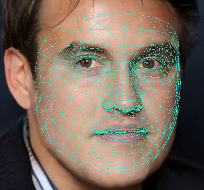 facemesh1.jpg