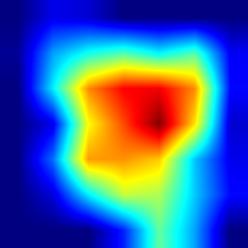 pic3-frcnn-heatmap.jpg