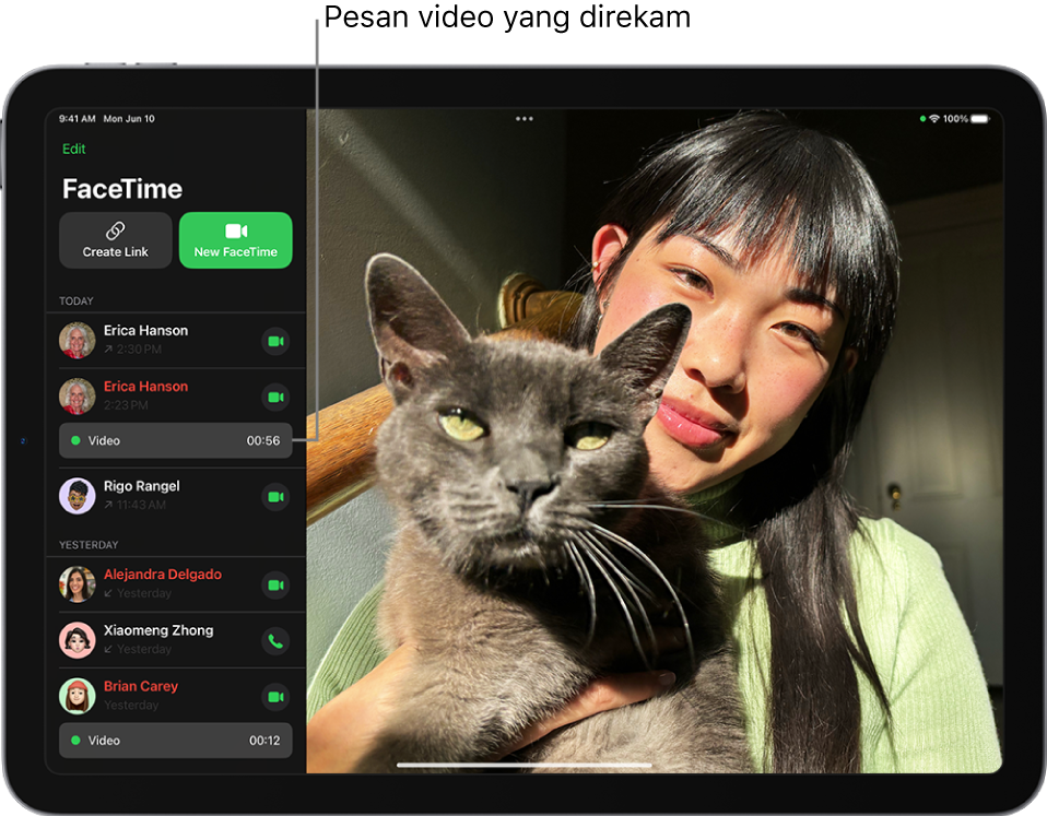 Riwayat panggilan FaceTime, menampilkan tautan ke pesan video yang direkam.